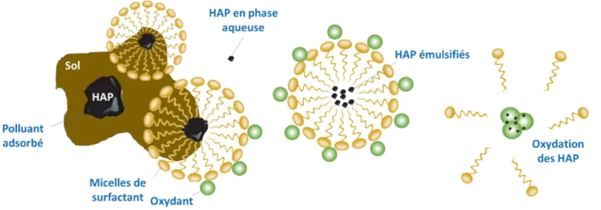 Figure 18 : Désorption et solubilisation de HAP par du surfactant et leur dégradation  en solution aqueuse par oxydation