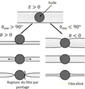 Figure 35 : Représentation schématique des phénomènes d’entrée et de pontage par  une gouttelette d’huile dans une lamelle (adapté de Denkov, 2004)