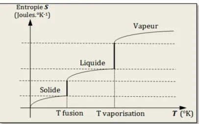 Figure n°4  :  Changements d état de l eau à température constante