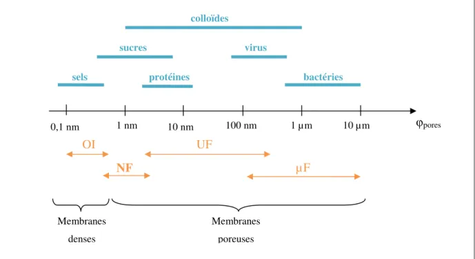 Figure  I-1 :  Solutés  pouvant  être  retenus  par  une  membrane  en  fonction  de  la  taille  de  pore