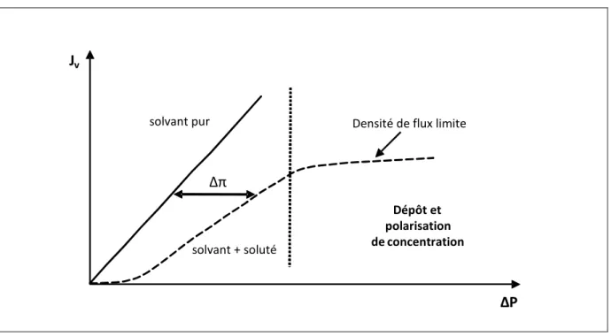 Figure I-11 : Courbe illustrant le phénomène de pression osmotique. 