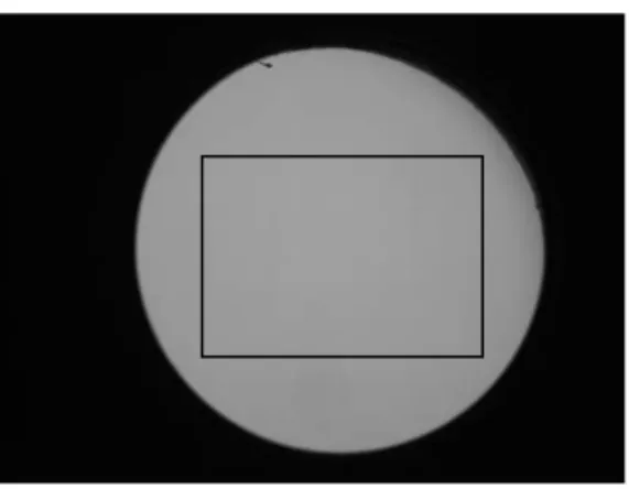 Fig. 1: An example of image acquired by camera and the region of interest. 