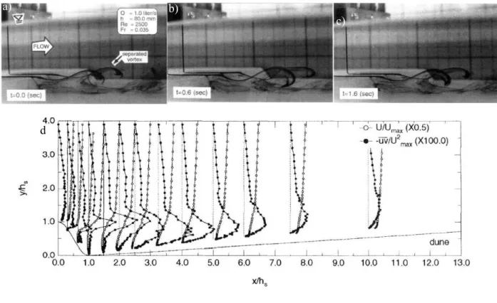 Figure I- 16 Écoulement à l’aval de rides : a, b et c) : visualisation via l’injection d’un colorant ; d) : champs de  vitesse obtenus par des mesures LDA 