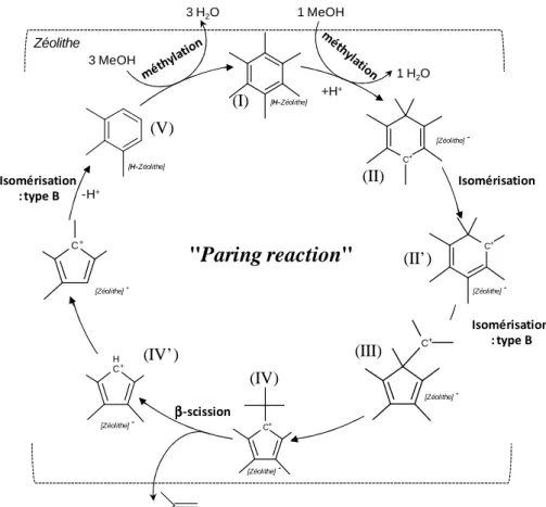 Figure I.24 : Mécanisme de l’« Hydrocarbon Pool » : méthylation endocyclique, adaptée de la référence [84] 