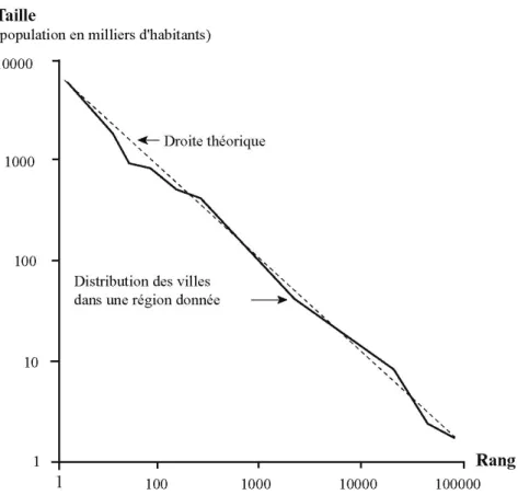 Figure 4 La loi rang taille