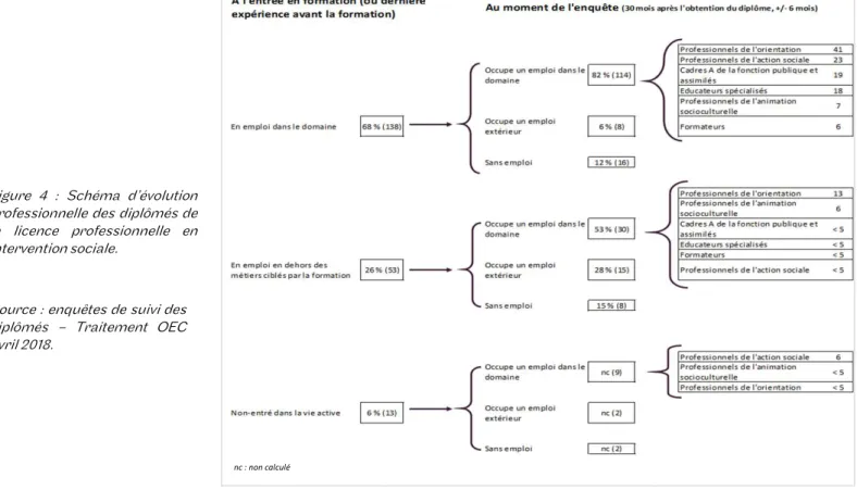 Figure 4 : Schéma d’évolution professionnelle des diplômés de la licence professionnelle en intervention sociale.