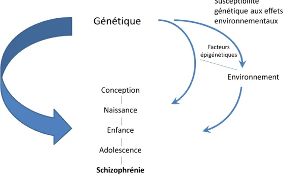 Figure 2 : Interaction entre les facteurs génétiques et environnementaux 