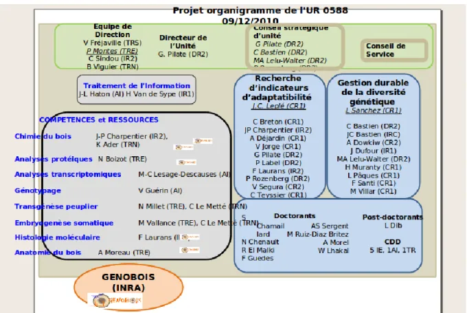 FIGURE 2 : Organigramme de l’AGPF 