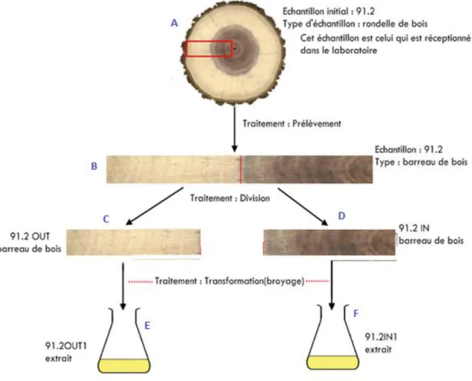 FIGURE 13 : Exemple de manipulation sur un échantillon 