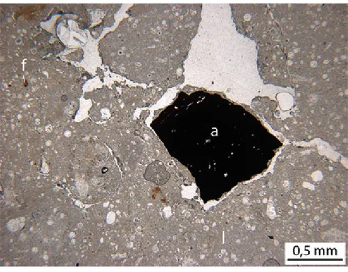 Fig. 4 Fig. 4 Fragment de pisé  brûlé accidentellement  provenant du  comblement d’un   silo du Bronze final   du site de la rue   de Preize à Troyes