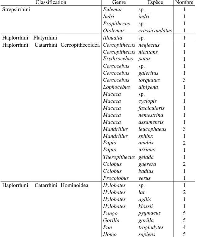 Table 10. Spécimens utilisés dans l’analyse de la variation de la morphologie de la face dans  l’ordre des primates