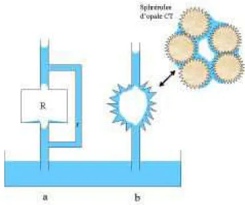 Figure  2  :  Exemples  de  fermeture  de  la  porosité  par  l'eau  :  par  dérivation  (a)  et  par  microrugosité  (b)  (Bousquié,  1979) 
