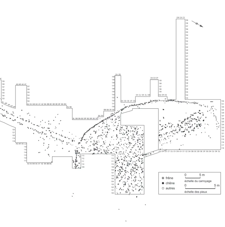 Fig. 9 – Plan des pieux de Chalain 19 (DAO : A. Viellet, 2005).