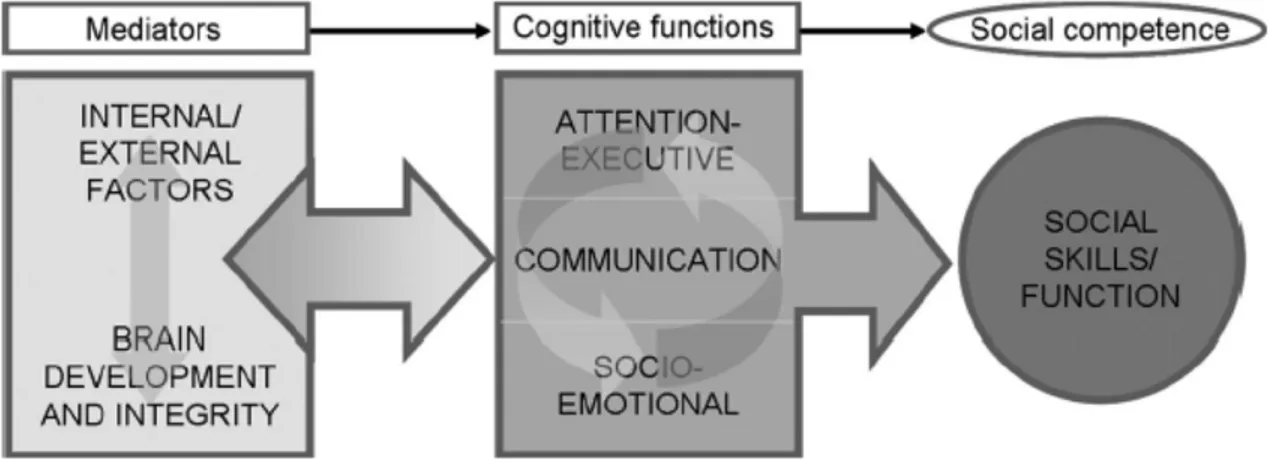 Figure 2. Le Modèle d’intégration des habiletés sociocognitives (SOCIAL, Beauchamp &amp; Anderson,  2010) 