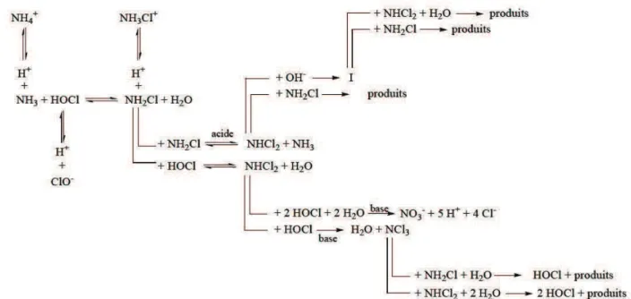 Figure I.4. Schéma général de réactions entre le chlore et l’azote ammoniacal  (Jafvert et Valentine, 1992)