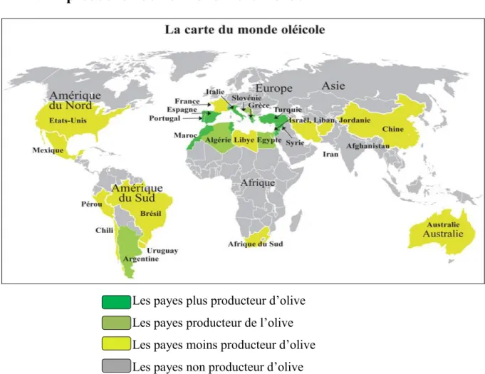 Figure 3- Carte représentant les principales régions de production d’olivier Olea europaea  dans le monde (COI, 2018)