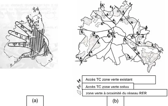 Figure 1 : Le plan de développement en « doigts de gants » pour l’agglomération de  Copenhague (Source : Städtebauliches Institut, Stuttgart) (a)  