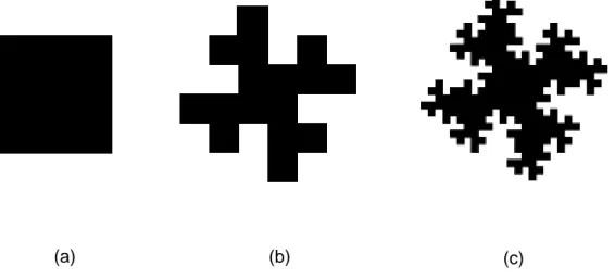 Figure 3 : Trois manières d’envisager la bordure urbaine :  du carré (a) au téragone (b et c) (d’après [25]) 