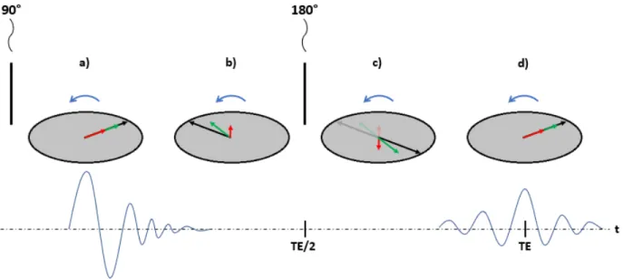 Figure 2.3 – Illustration de la séquence spin-écho. Un pulse de 90 ◦ transfert la magnétisation longitudinale sur le plan transverse et les spins sont en phase (a)