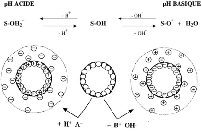 Figure 19 : Représentation de la polarisation d'un oxyde en fonction du pH 112 . 