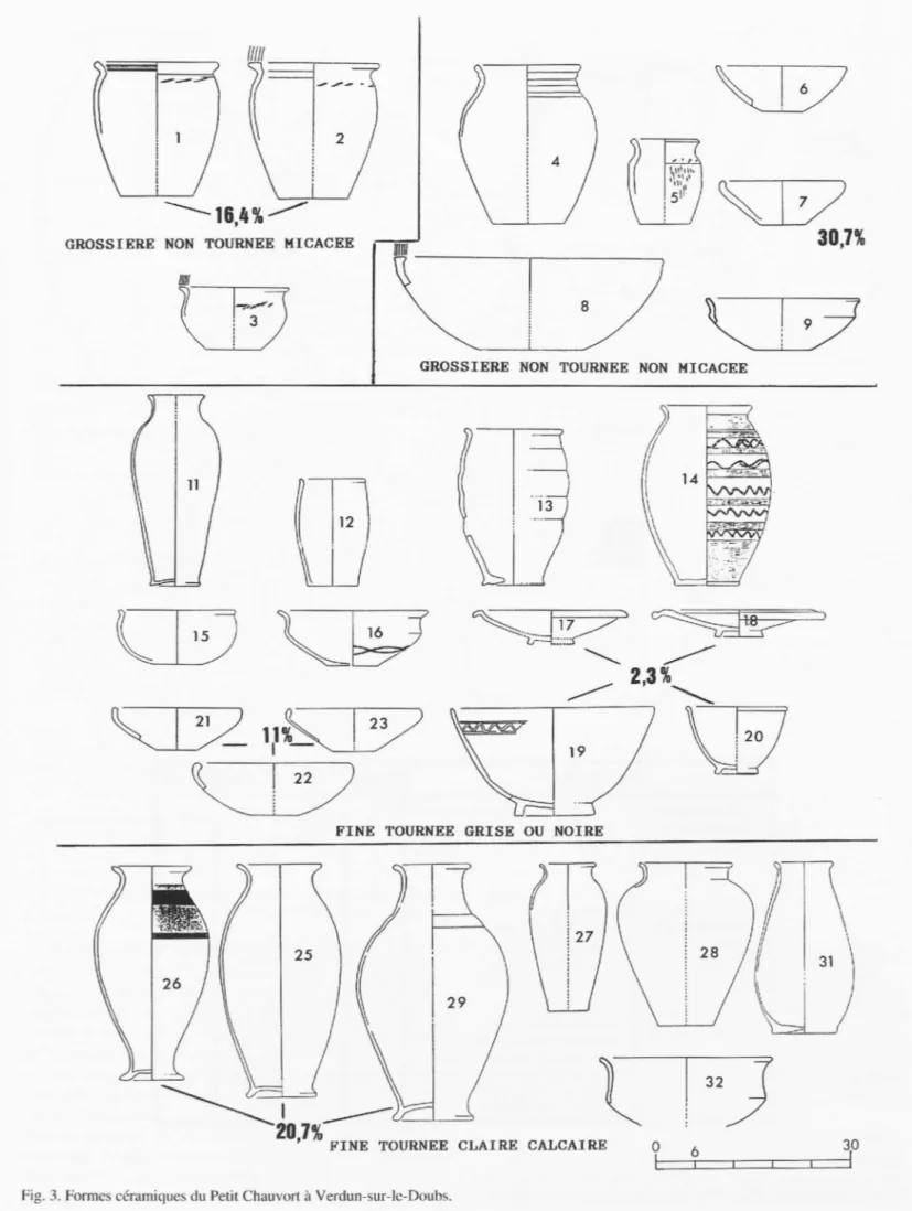 Fig.  3. Formes céramiques du  Petit Chauvorl  à  Verdun-sur-le-Doubs. 