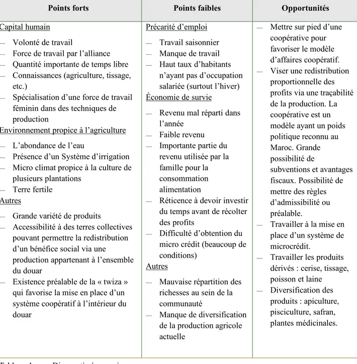 Tableau 3.   Les points forts, les points faibles et les opportunités recensées  