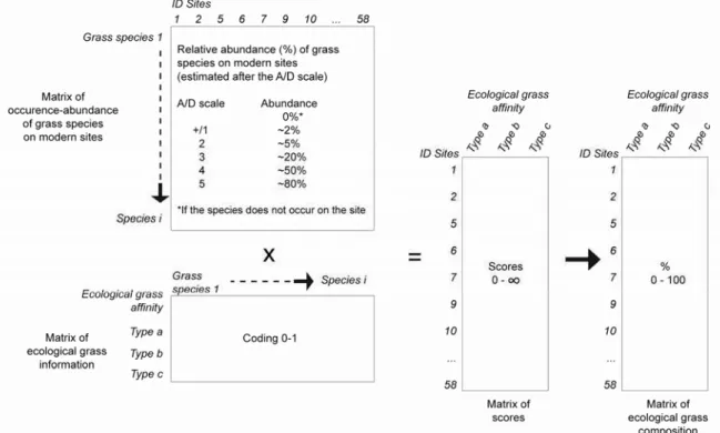 Figure III-1 Illustration of the method of scores (Prentice et al. 1996): main steps of calculation