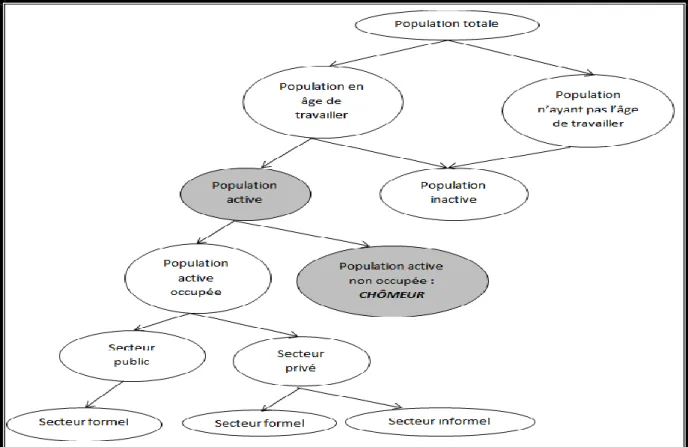 Figure 1 : Décomposition de la population totale 