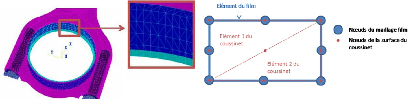 Figure 9 : Maillage éléments finis de la bielle.  Figure 10 : Maillage du film et de la surface du coussinet 