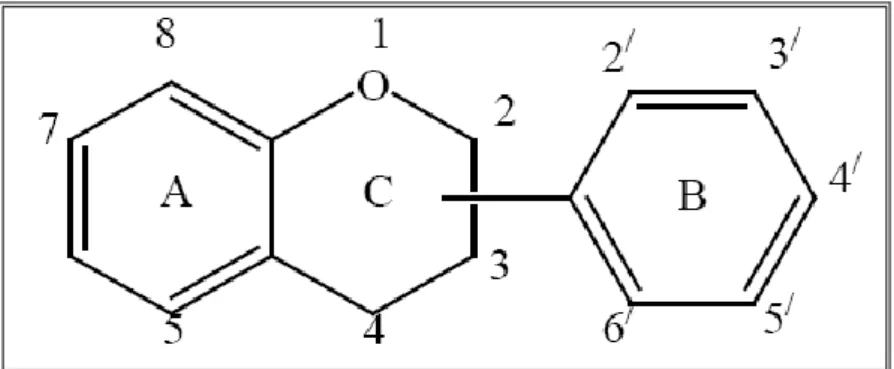 Figure 03 : structure chimique générale des flavonoïdes (CHANVALLON C., 1994). 