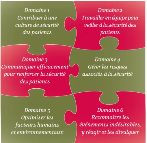 FIGURE 2 : Les compétences en sécurité du patient  [19] 