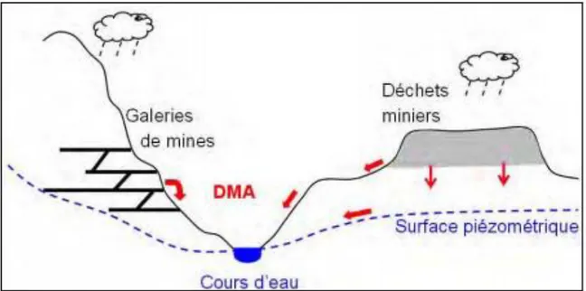 Figure 9 : Production et transfert de Drainage Minier Acide (DMA)  (Source: Ghorbel Ben Abid M., 2012)  