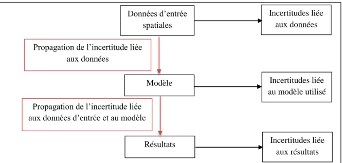 Figure 11 : Prise en compte de l'incertitude dans un processus de modélisation d'un  phénomène (Source : Corgne S., 2004) 