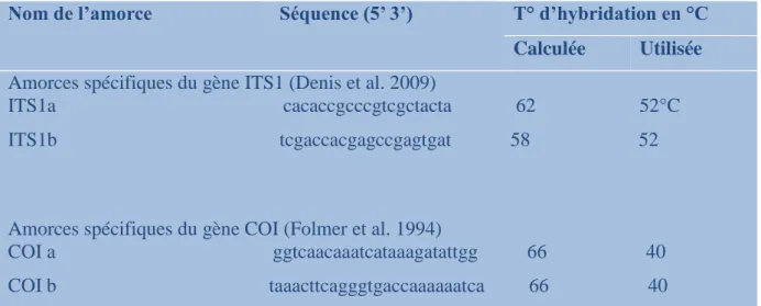 Tableau 6 Liste des oligonucléotides et des températures d’hybridation utilisés  pour les réactions de  PCR 