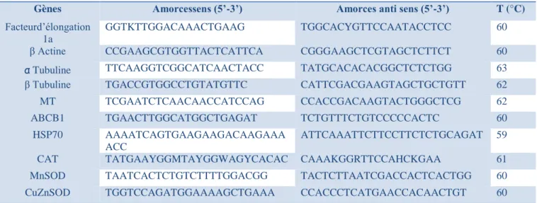 Tableau 7 Amorces utilisées pour la caractérisation de l’ADNc des différents gènes ; T (°C),  température de fusion 