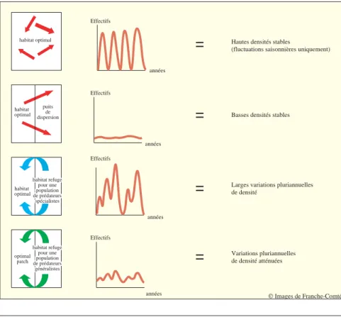 Fig. 4 - Différence de composition entre communes « épicentre » et  com-munes de « diffusion