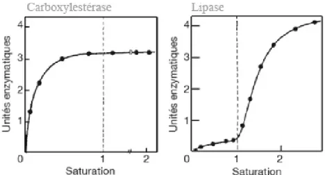 Figure 12: Hydrolyse de la triacétine par la carboxylestérase du foie de cheval et la lipase pancréatique de porc  (Verger, 1976) 