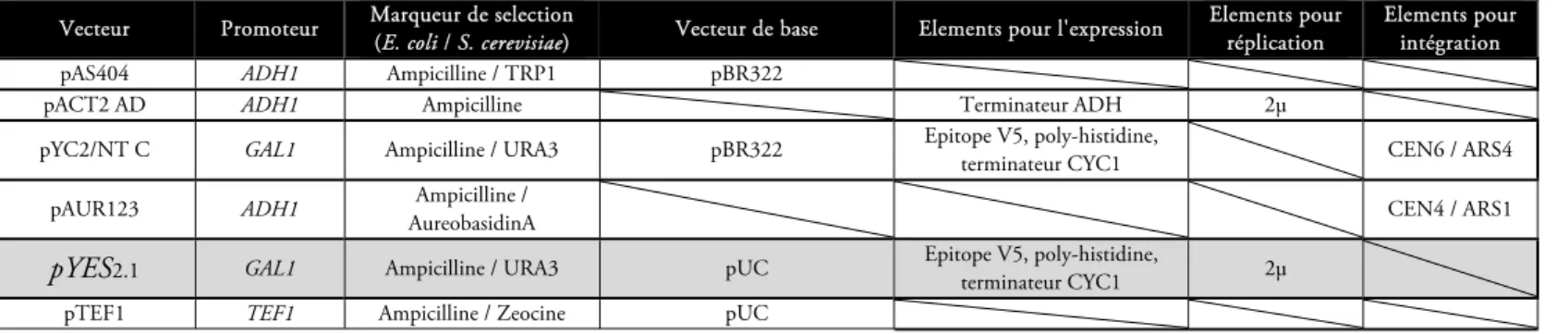 Tableau 13: Différents vecteurs d'expression, en grisé le vecteur utilisé lors de cette étude 