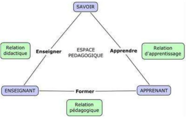 Figure 2 : La  situation didactique, d’après Houssay, 1988 . 