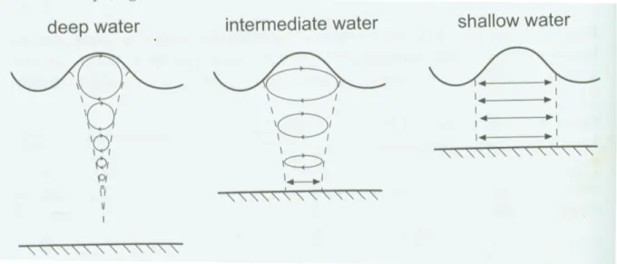 Figure 1.1 – Motions orbitales des particules d’eau selon la théorie linéaire des vagues