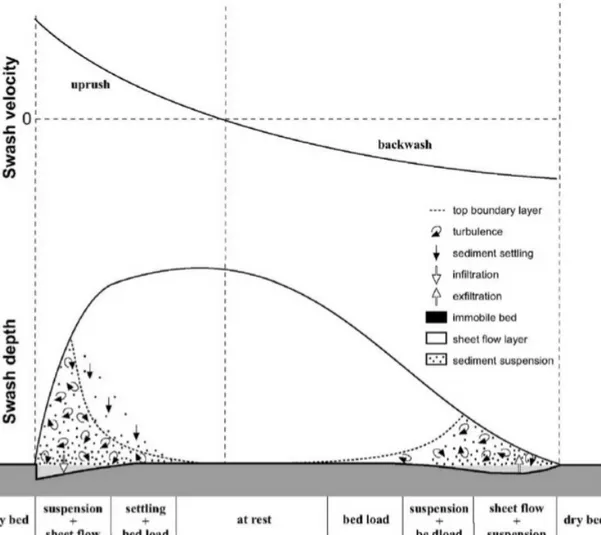 Figure 1.4 – Schéma des différents modes de transport de sédiments à l’intérieur du cycle d’une vagues dans la zone de swash