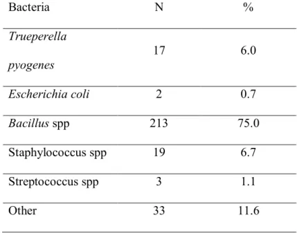 Table  3  Number  and  percentage  of  isolates  of  pure  culture  (n  =  287)  from  uterine  samples  taken from a subset of cows at EXAM1 (n = 527)