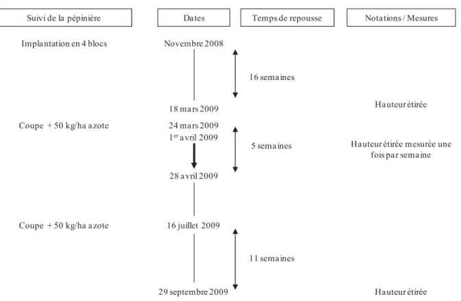 Figure 10 : Description du suivi, des notations et des mesures effectués dans le cas du second  dispositif expérimental