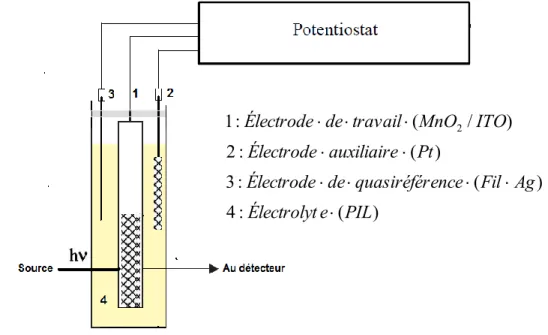 Figure 2.6 :  Représentation de la cellule utilisée pour les tests de   spectroélectrochimie dans les IL