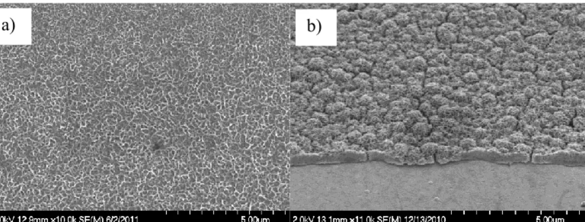 Figure 3.1:   SEM micrographs of MnO 2  thin films deposited on ITO substrates   using a) 5 min deposition time at E = 1.2 V (method A) and b) 5   potential cycles at 10 mV·s -1  between 0.435 and 1.335 V (method   B)