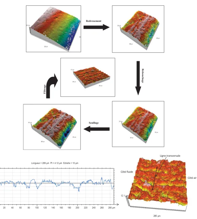 Figure II.11 : Traitement de la surface de la lèvre du joint et extraction d’un profil quelconque 