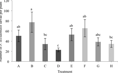 Figure 5.3. Mean (± SE) number of Frankliniella occidentalis larvae per chrysanthemum crop plant for each  treatment  all  week  combined