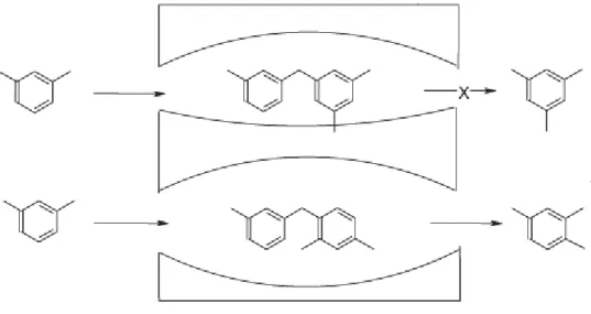 Figure 18 : Sélectivité de l'état de transition dans les catalyseurs zéolithiques. 