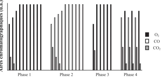 Figure 8 : Exemples des diverses phases de mesure de la capacité de stockage de  l'oxygène
