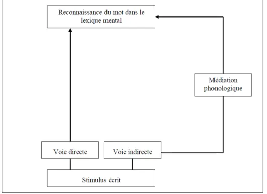 Figure 1: Modèle à double voie de Coltheart (1978) 